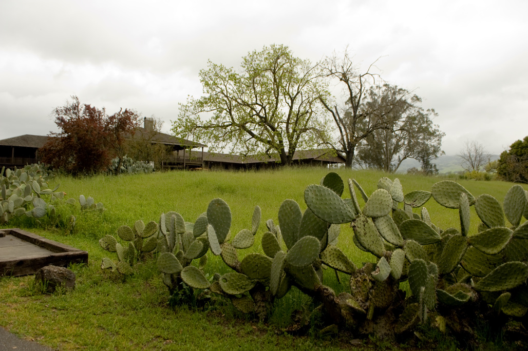 Outside of Petaluma Adobe SHP
