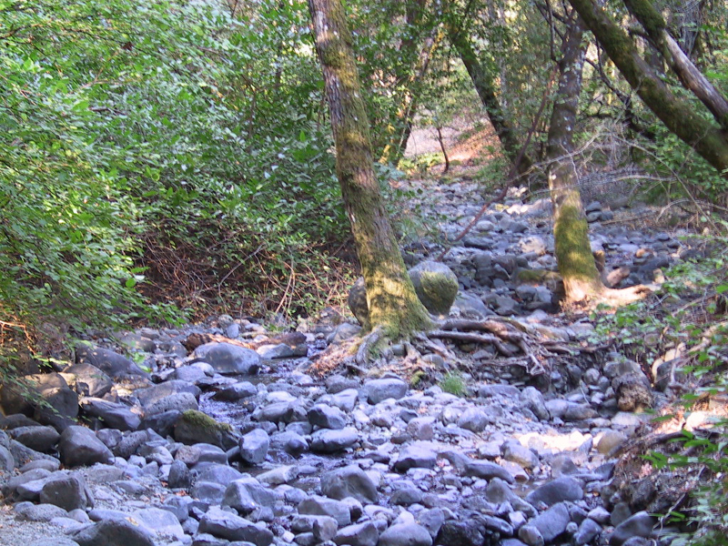 Ritchey Creek image