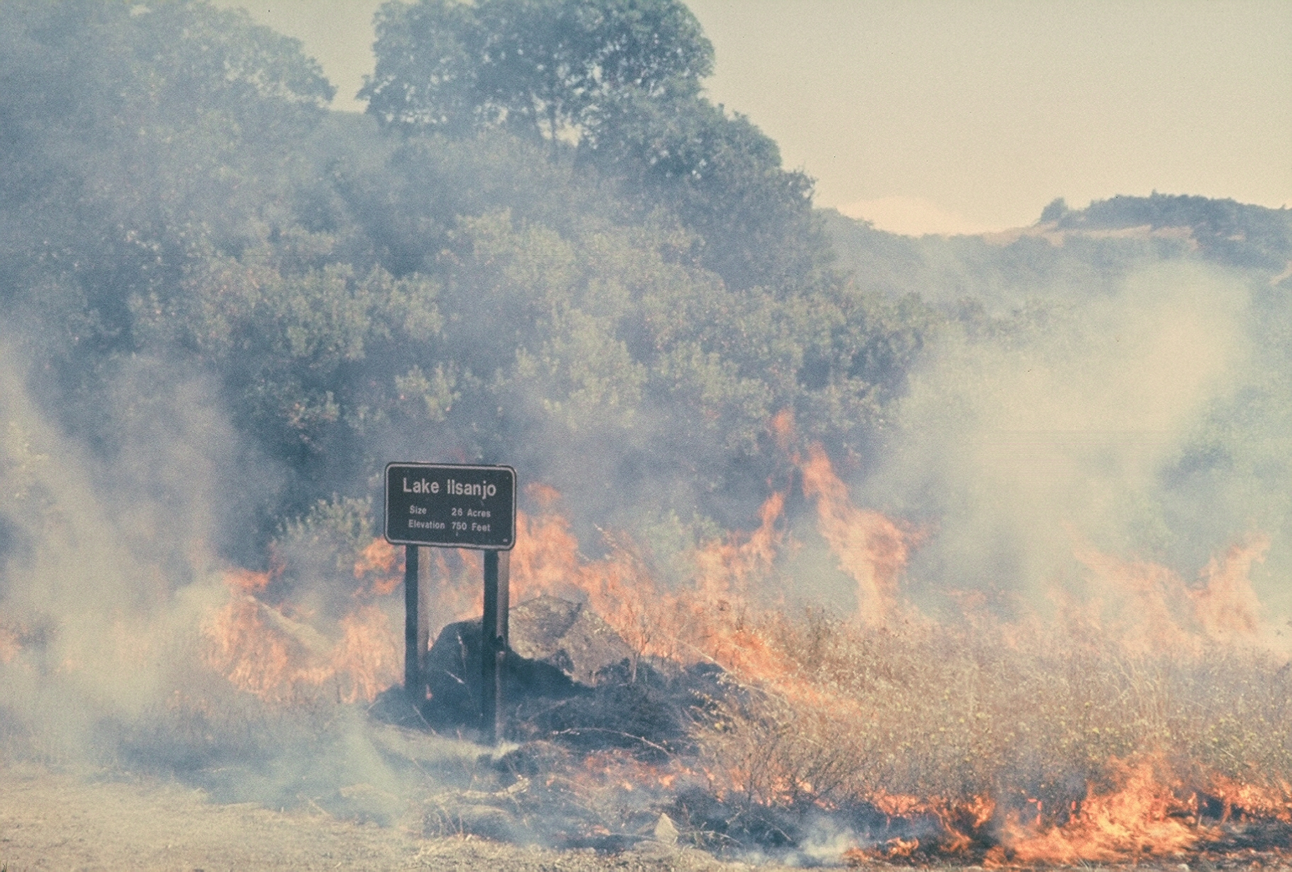 Prescribed Burn Near Lake Ilsanjo in 1996