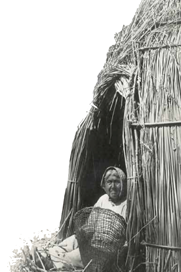 Lake Pomo woman in tule shelter