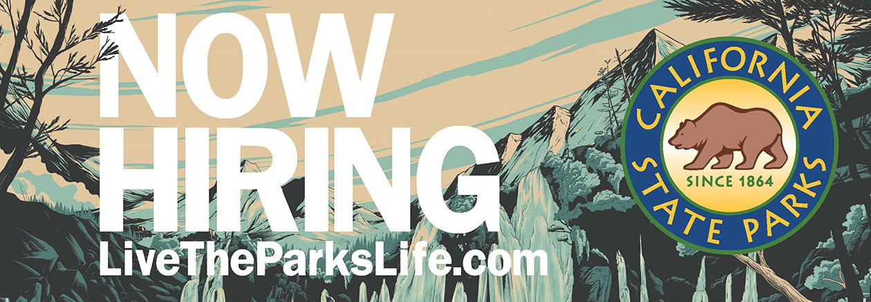 Now Hiring Graphic