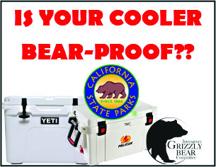 Bear-Proof Cooler image