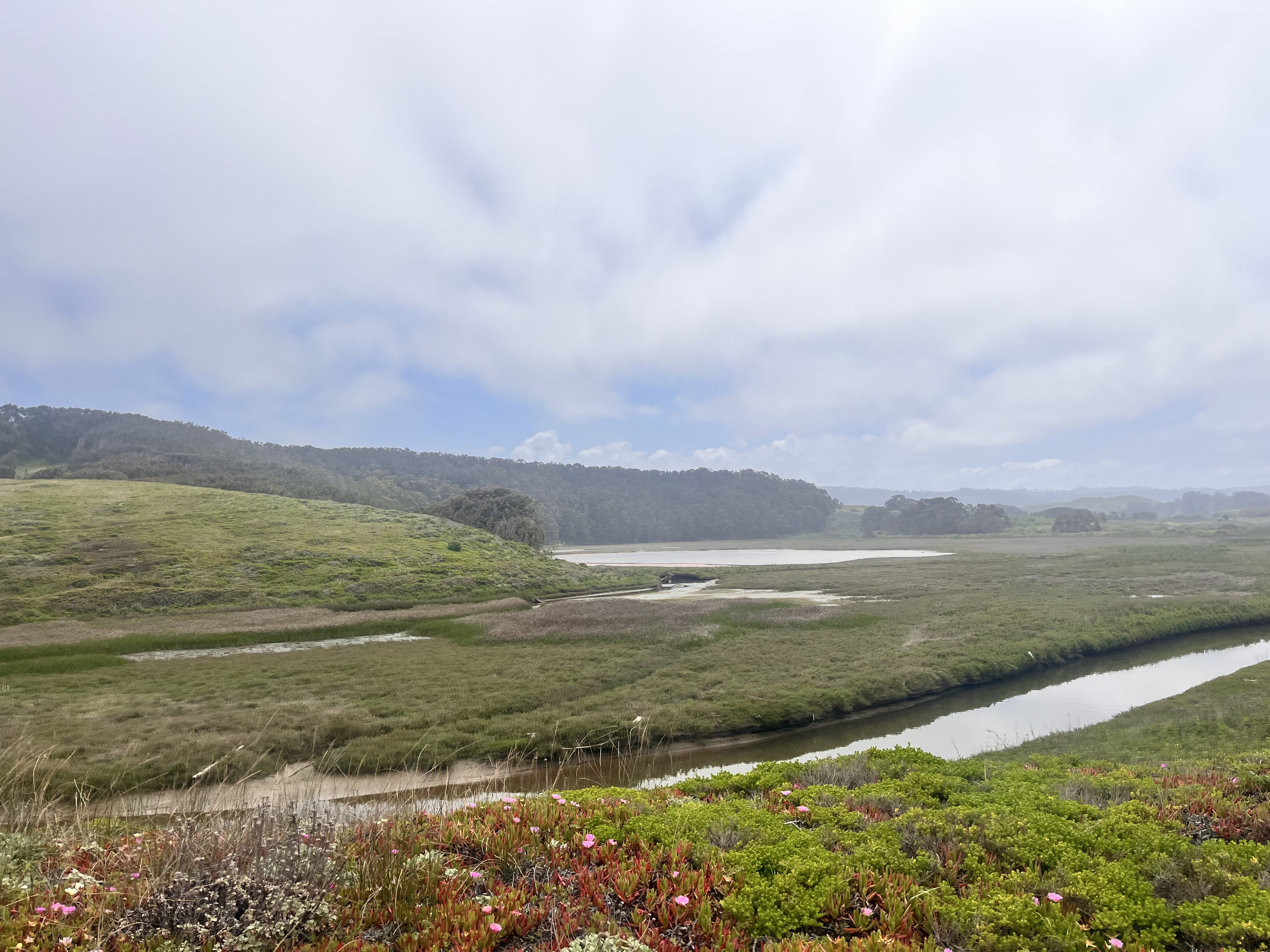 A view of North Pond and the channel that runs north of Sequoia Audubon Trail at Pescadero Marsh. 