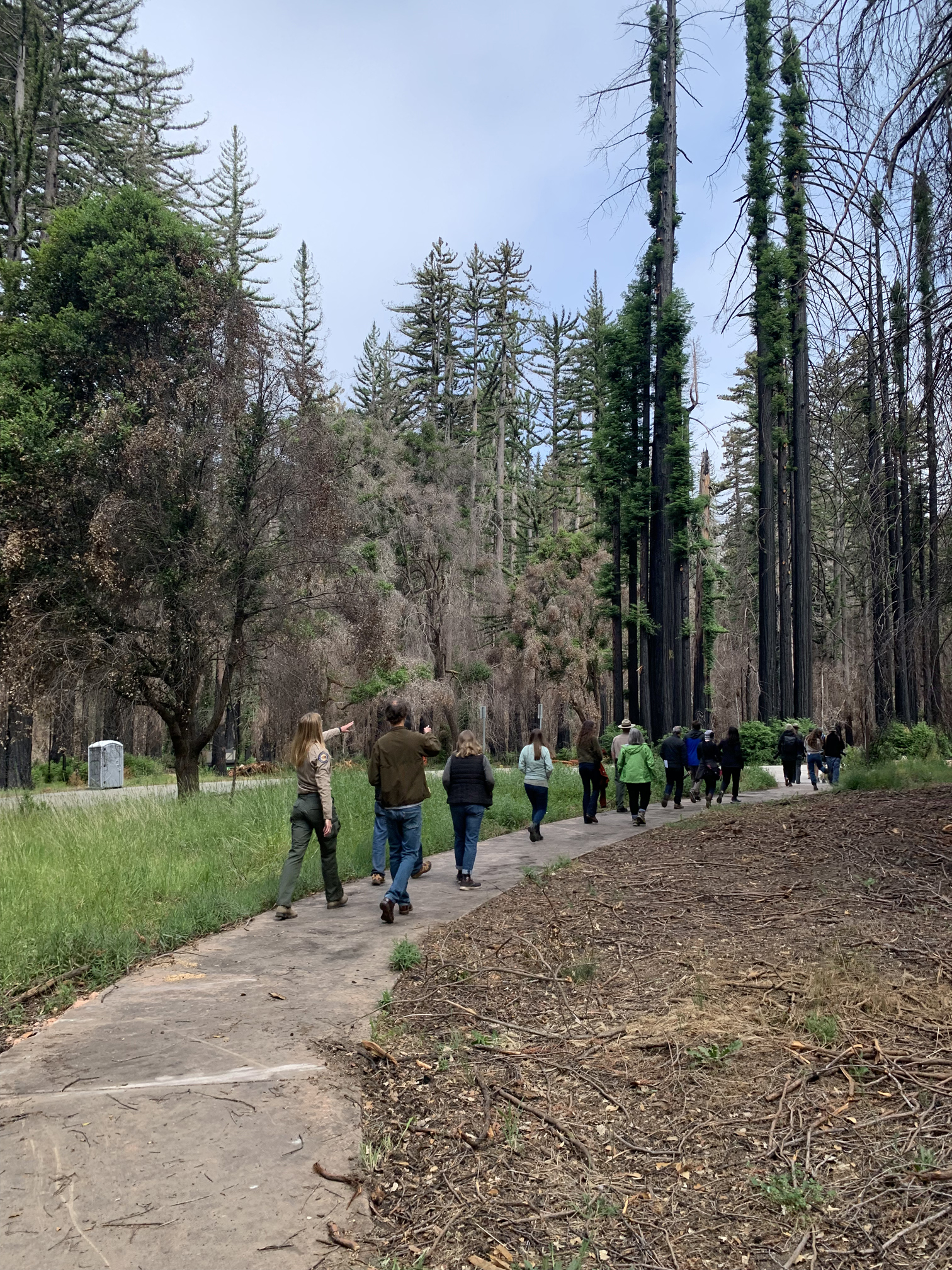 Guided Walk on Redwood Loop Trail May 2022