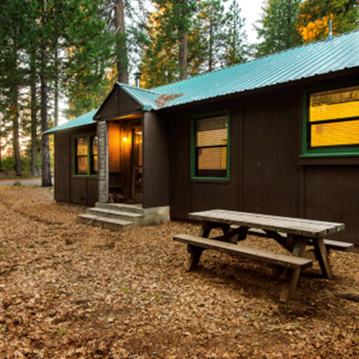 Camping and Cabins