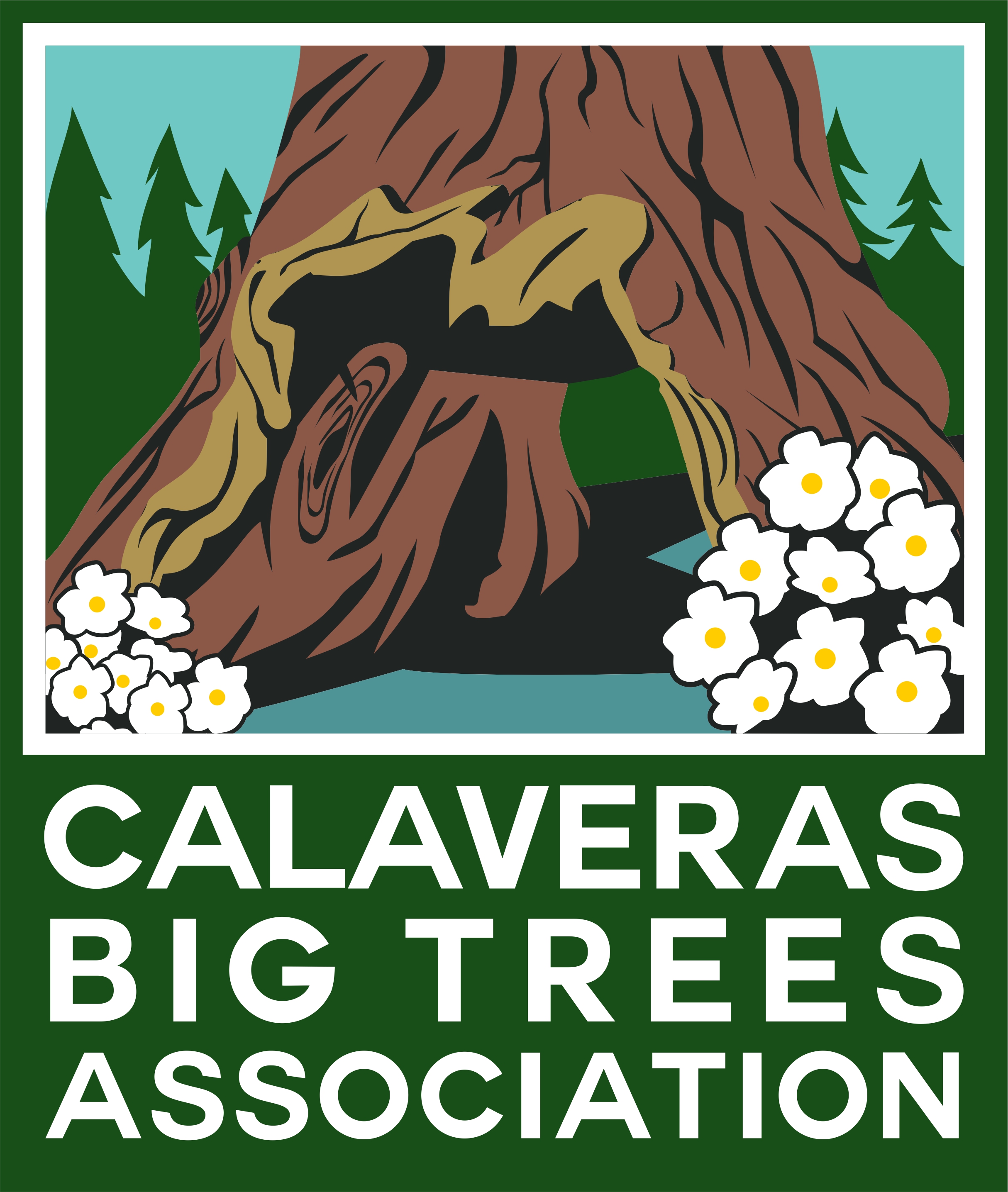 Logo for Calaveras Big Trees Association 