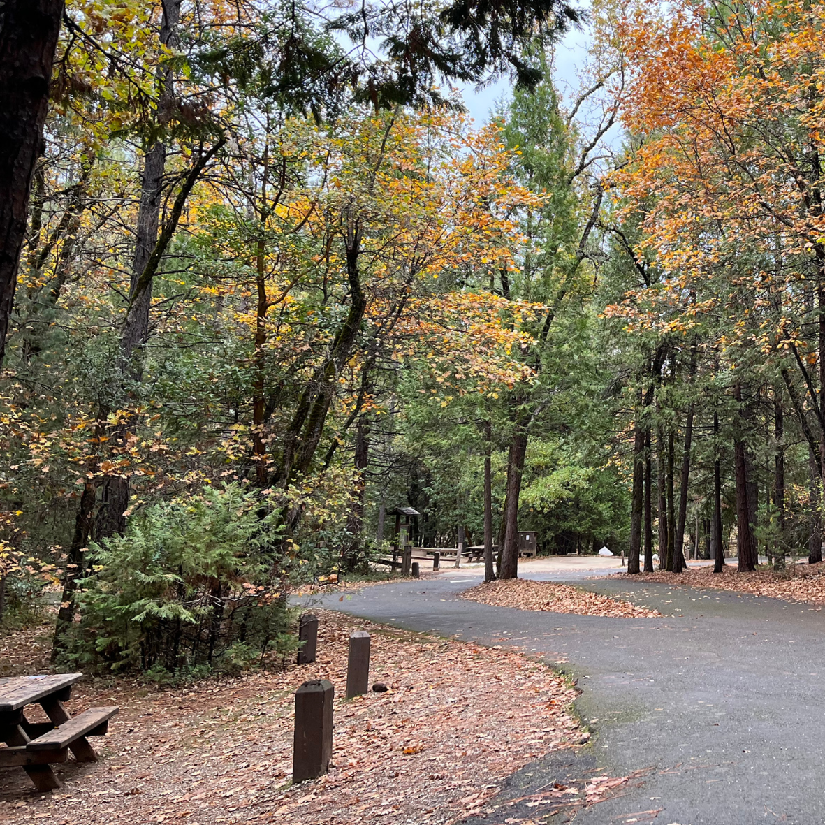 Paved road in the campground 