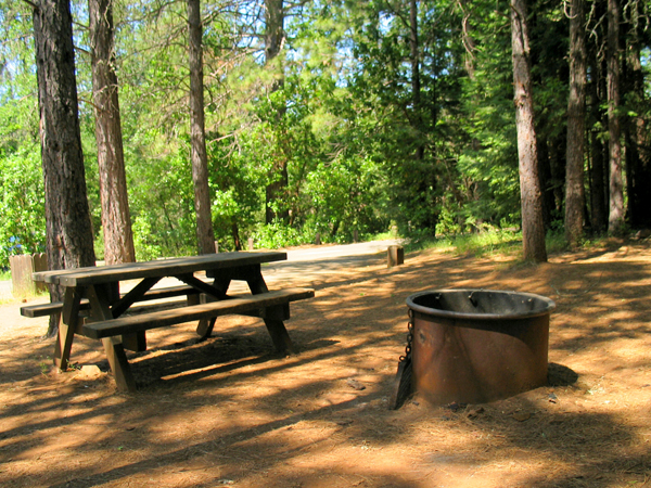 Picnic table and fire ring at a campsite