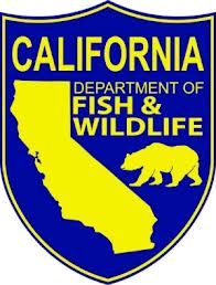 Dept. Fish and Wildlife Seal