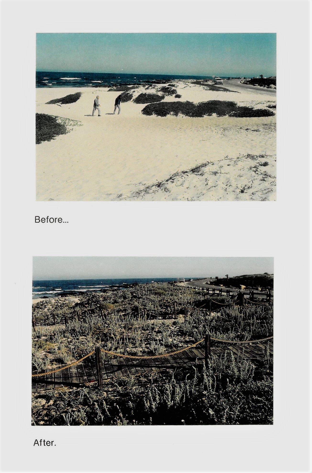 Before-After Beach Restoration Image