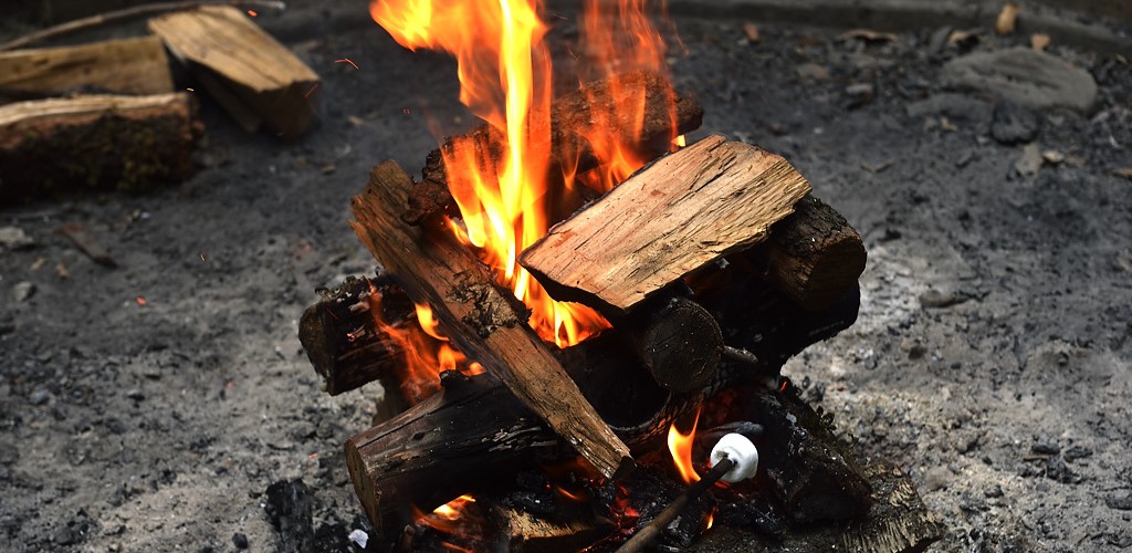 Roasting Marshmallows at a campfire