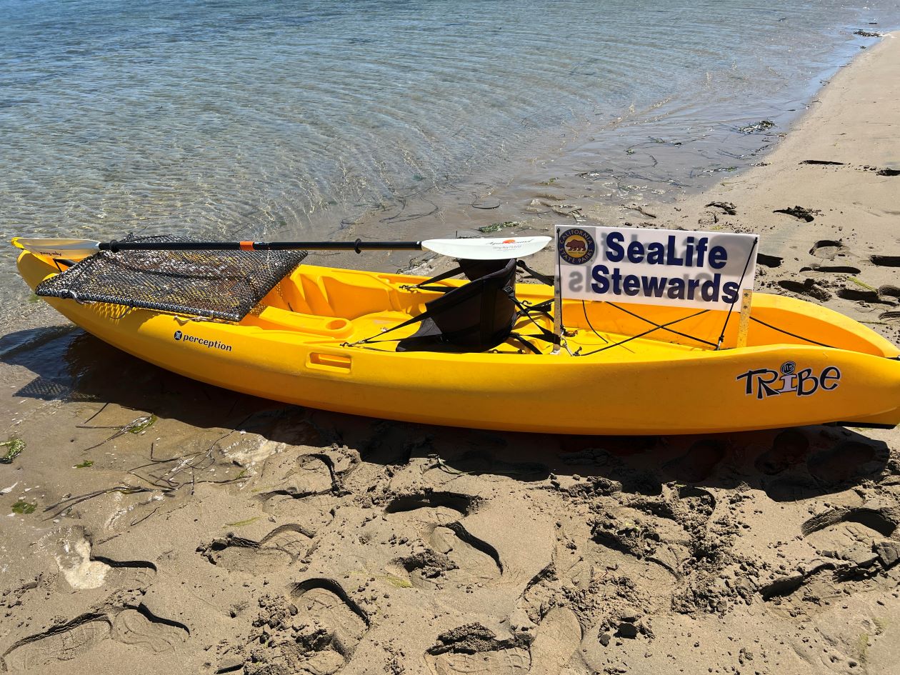 SeaLife Steward kayak SeaLife Steward kayak