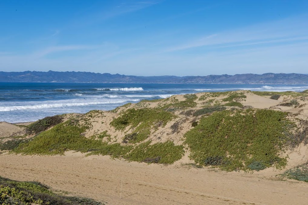 trail in sand leading to Pacific Oceano