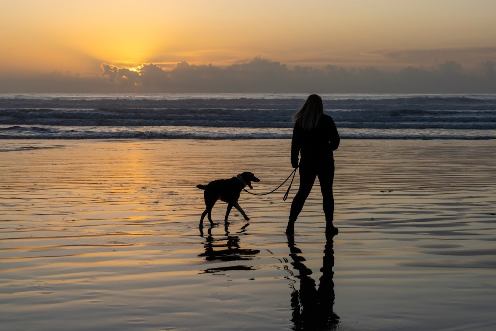 Woman walking dog on leash at beach at sunset