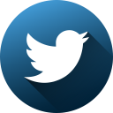 Twitter Logo Blue Circle with White Bird 