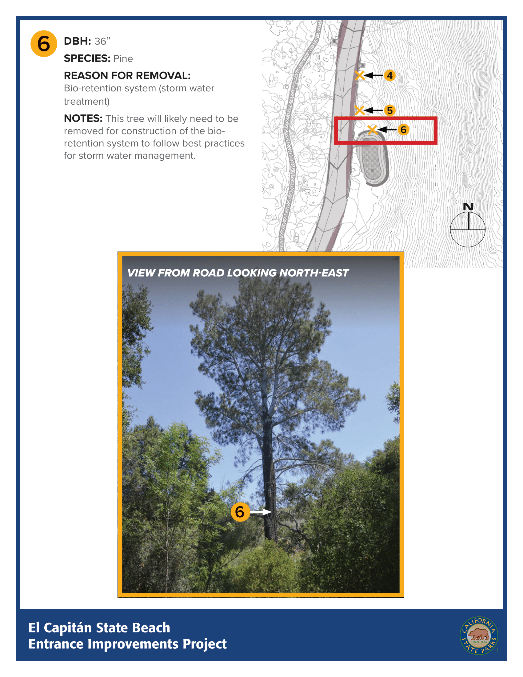 tree map 6 tree map 6