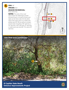 tree map 5