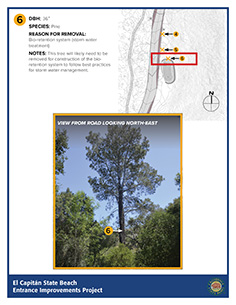 tree map 6