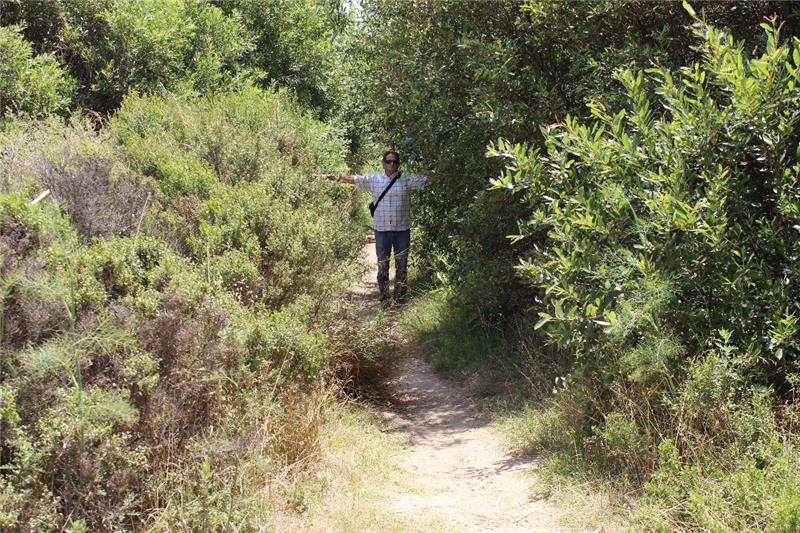 Invasive Species Removal 5