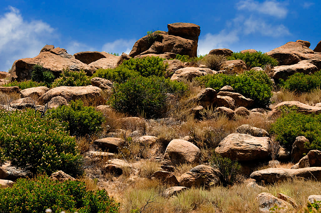 Santa Susana Pass SHP