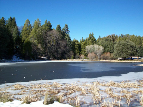 Doane Pond with Ice