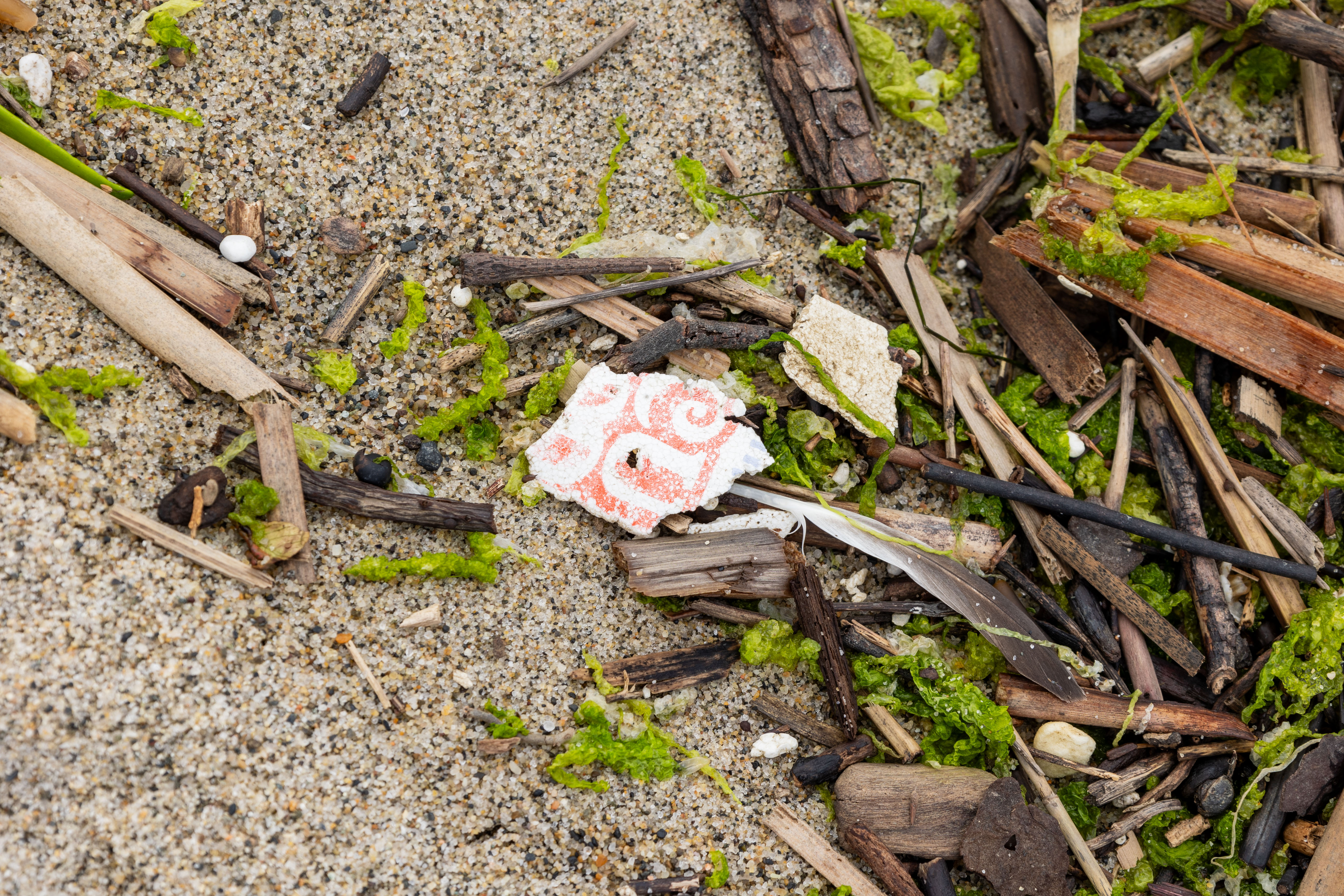 Styrofoam Trash in the Sand Styrofoam Trash in the Sand