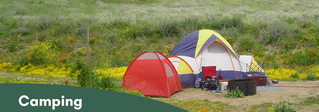 Camping Banner