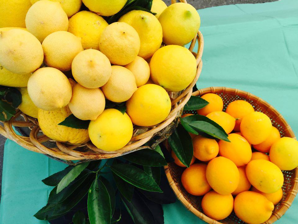 citrus fruit display on a table