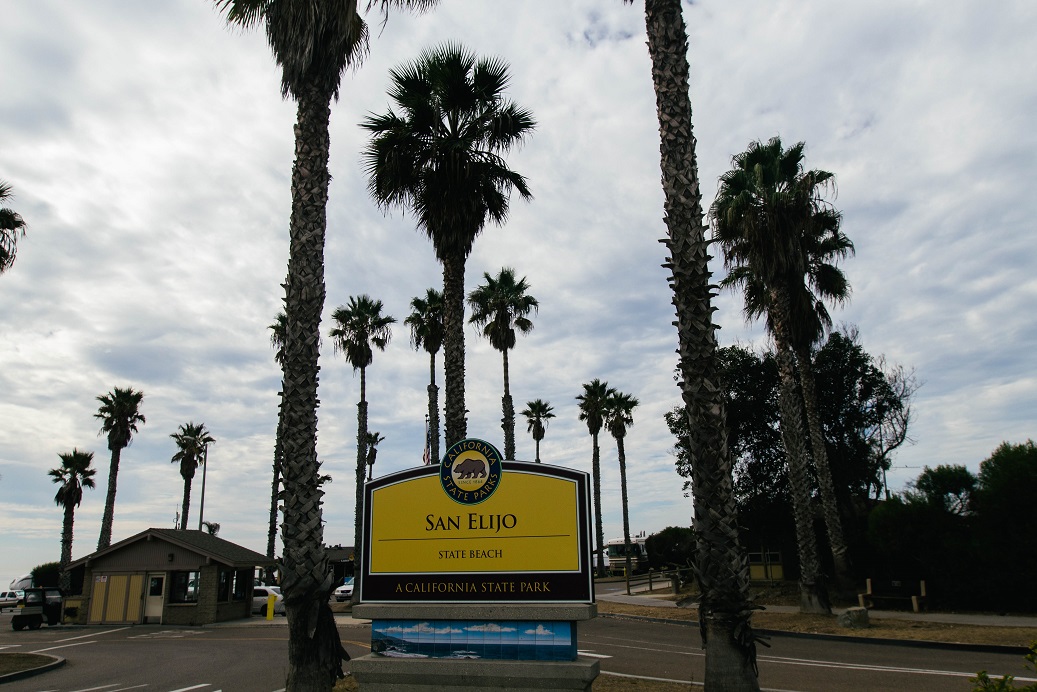 Photo of the sign with San Elijo State Beach's name on it, framed by palm trees and with more palm trees in the background