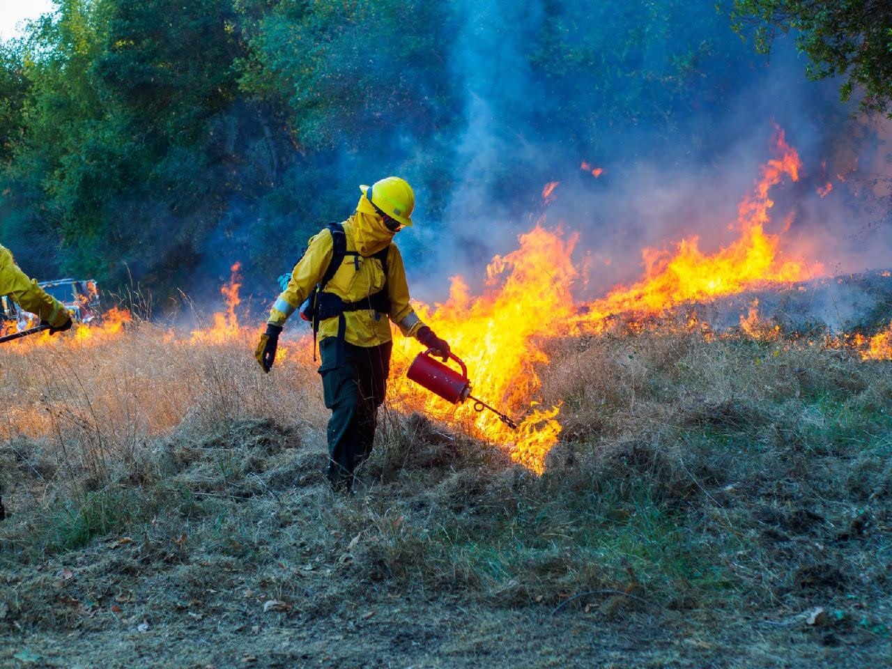  An image from a prescribed broadcast burn in Jack London State Historic Park in 2022.