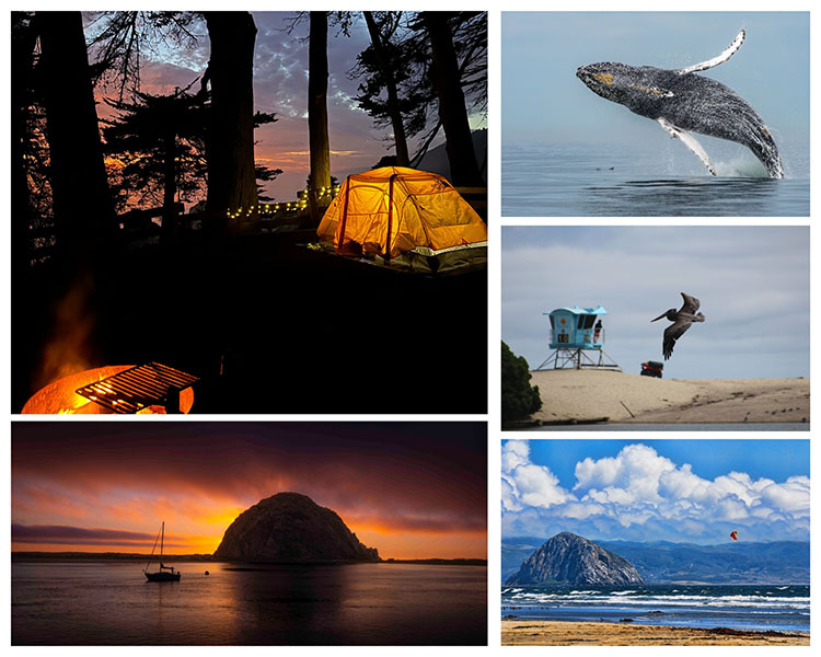 Grand prize winning photos from inaugural photo contest last fall.