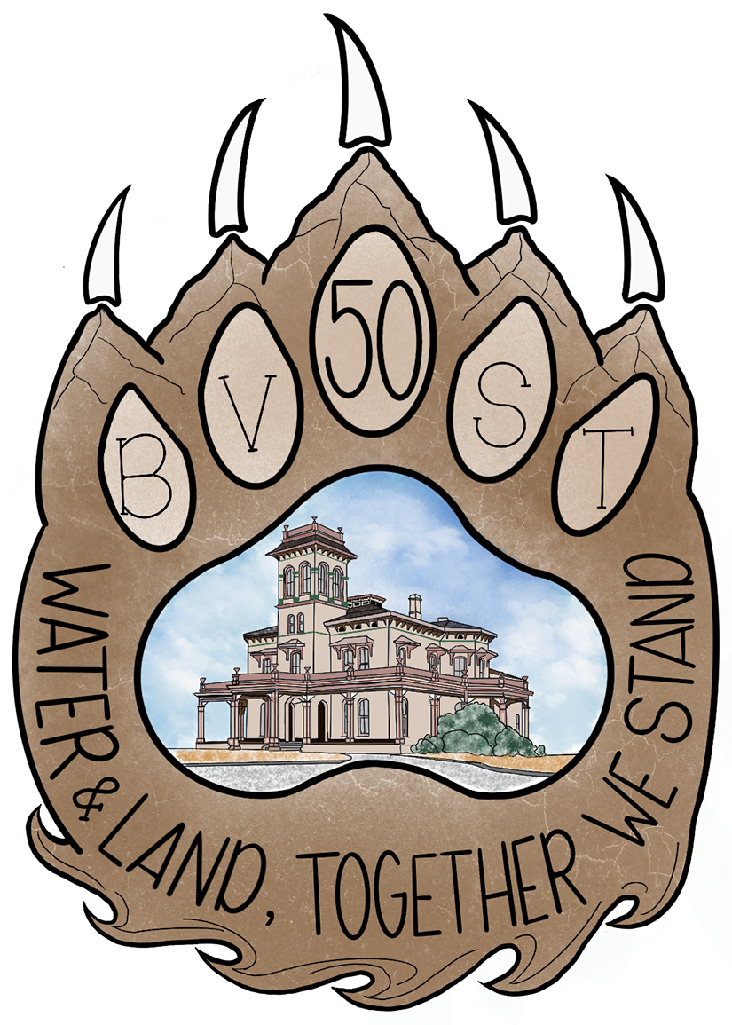BVST 50 Logo