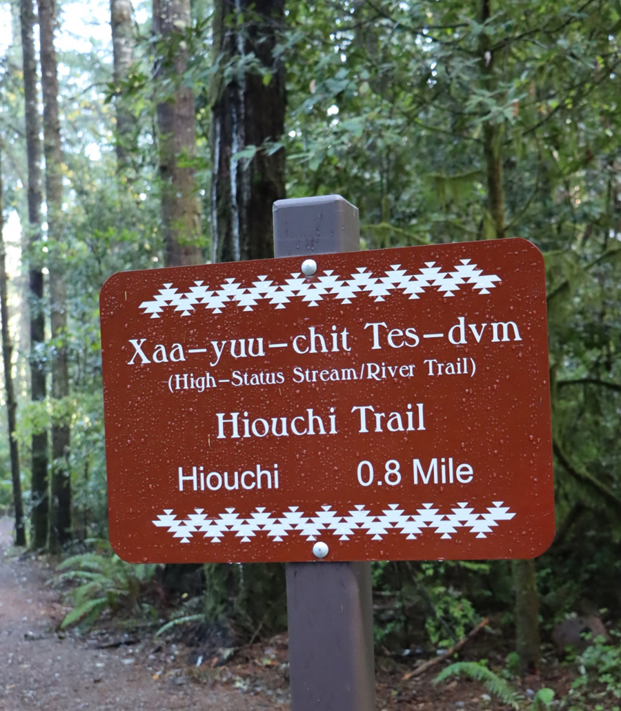 Up-close look at the sign for the new Xaa-yuu-chit Tes-dvm Trail. Photo from: Emily Reed, Tolowa Dee-ni' Nation