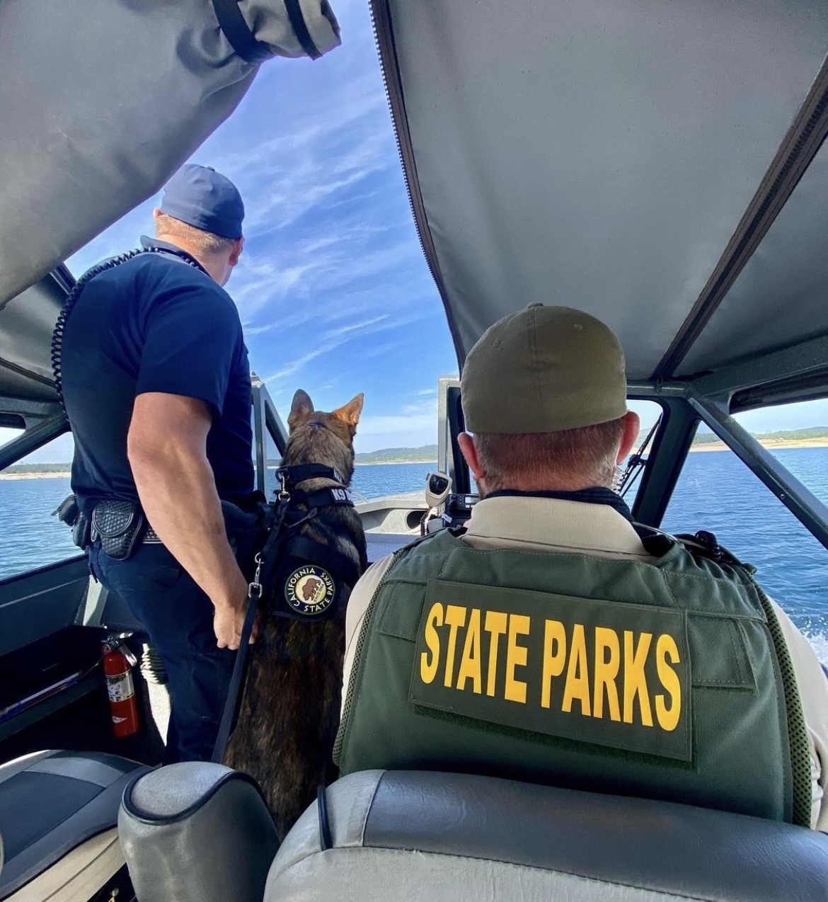 k9 rex on the boat