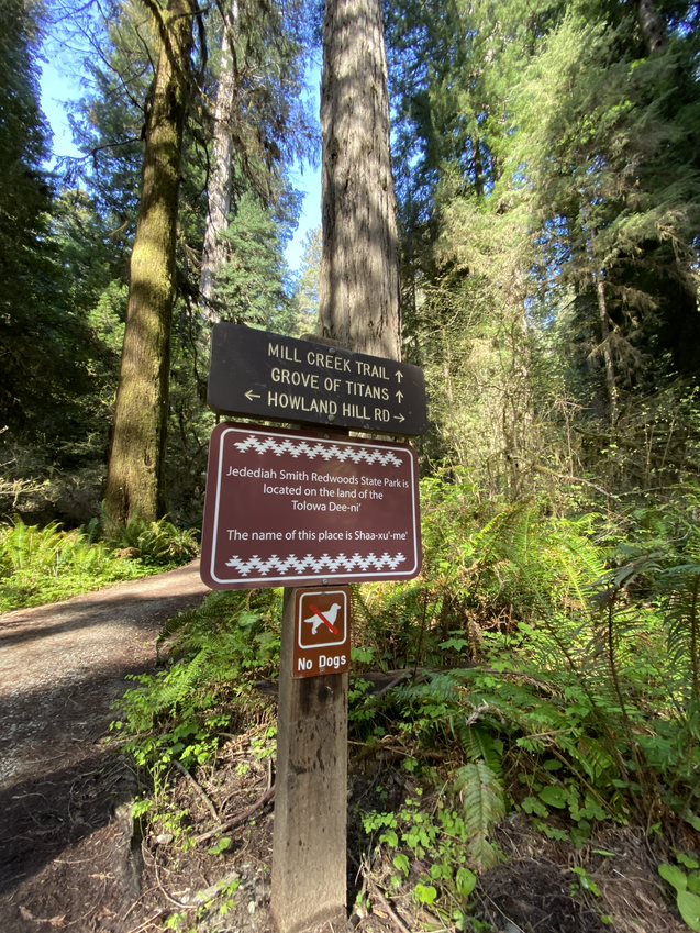 Land Acknowledgement Sign in Jededian Smith Redwoods SP