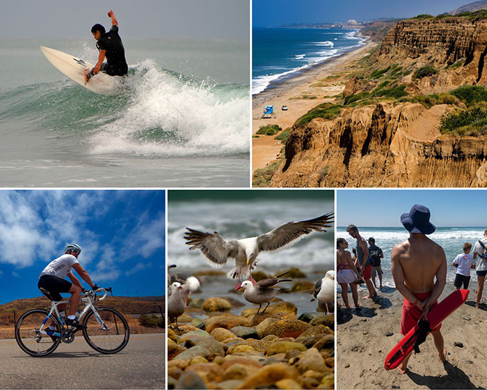 Images of recreation and wildlife at San Onofre State Beach. Photos from California State Parks.
