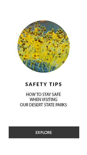 Safety Tips