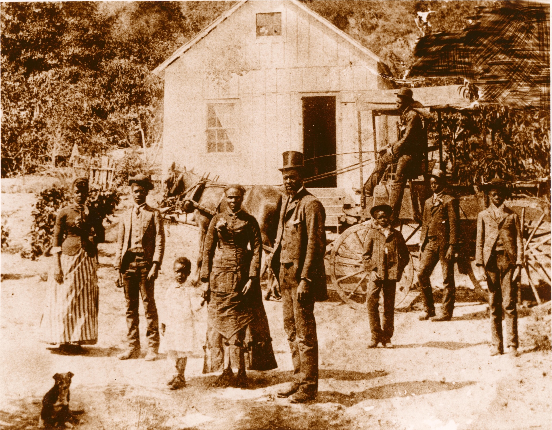 African American History and Engagement Image