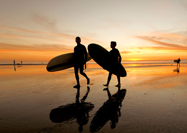 Image of Cardiff State Beach Surfers