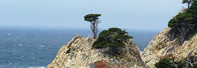 Point Lobos SNR