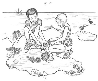 Children at a tide pool