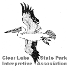 CLSPIA Logo