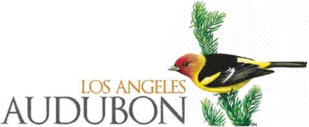 Western Tanager with words Los Angeles Audubon