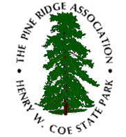 Graphic: Logo for Pine Ridge Interpretive Association
