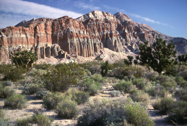 ©1981, California State Parks. Red Rock Canyon SP, 090-S7074.