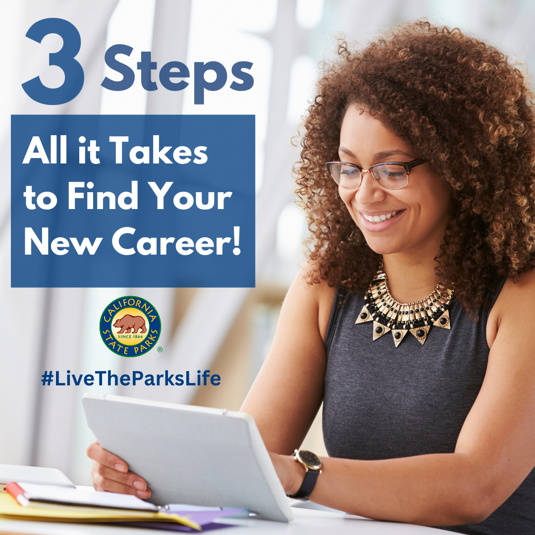 Steps to Employment Banner