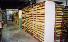Lab storage racks at the SACRF.