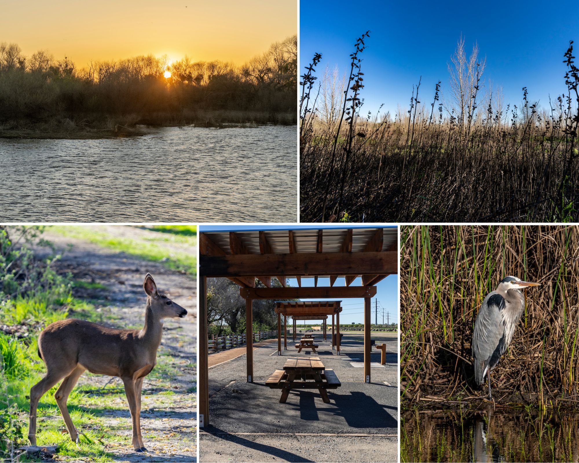 Images of Dos Rios, the newest state park in the San Joaquin Valley. Photos from California State Parks.